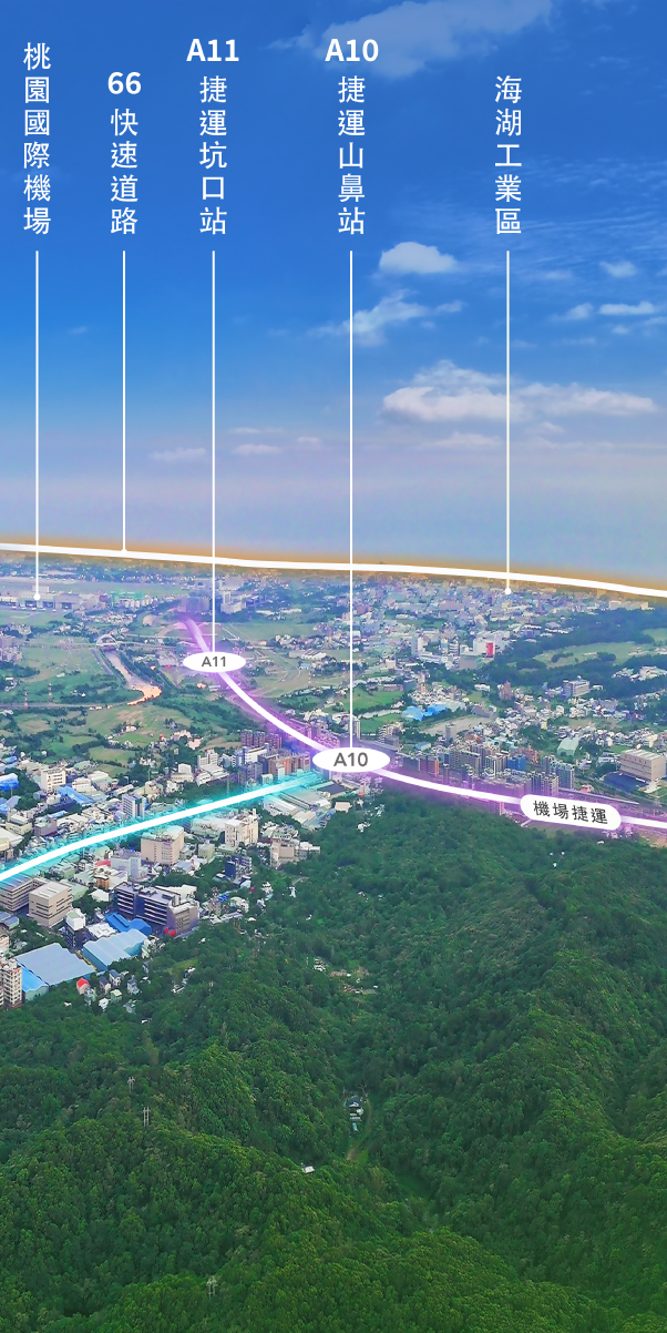 東驊之星｜空拍圖